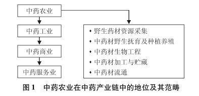 我國中藥產(chǎn)業(yè)現(xiàn)狀分析和現(xiàn)狀